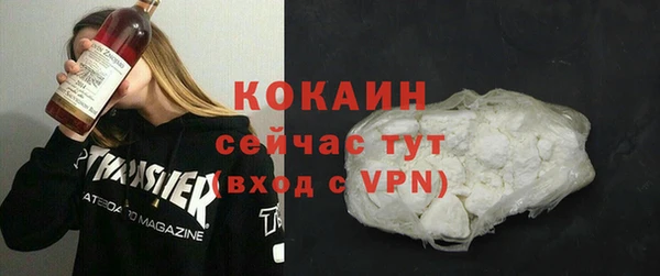 стаф Алзамай