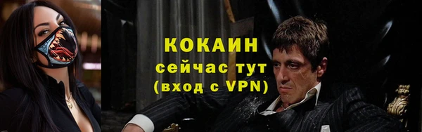 стаф Алзамай