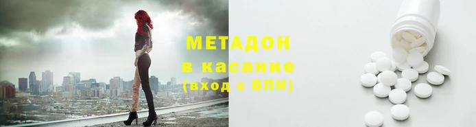 стаф Алзамай