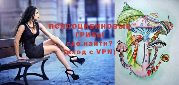 стаф Алзамай
