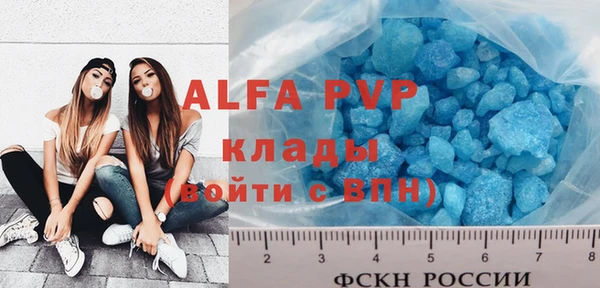 стаф Алзамай